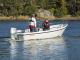 Terhi Nordic 6020 C